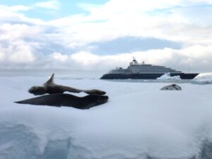 Scenic Eclipse behind Three Leopard Seals and Two Crabeater Seals on the Same Ice - Epic!