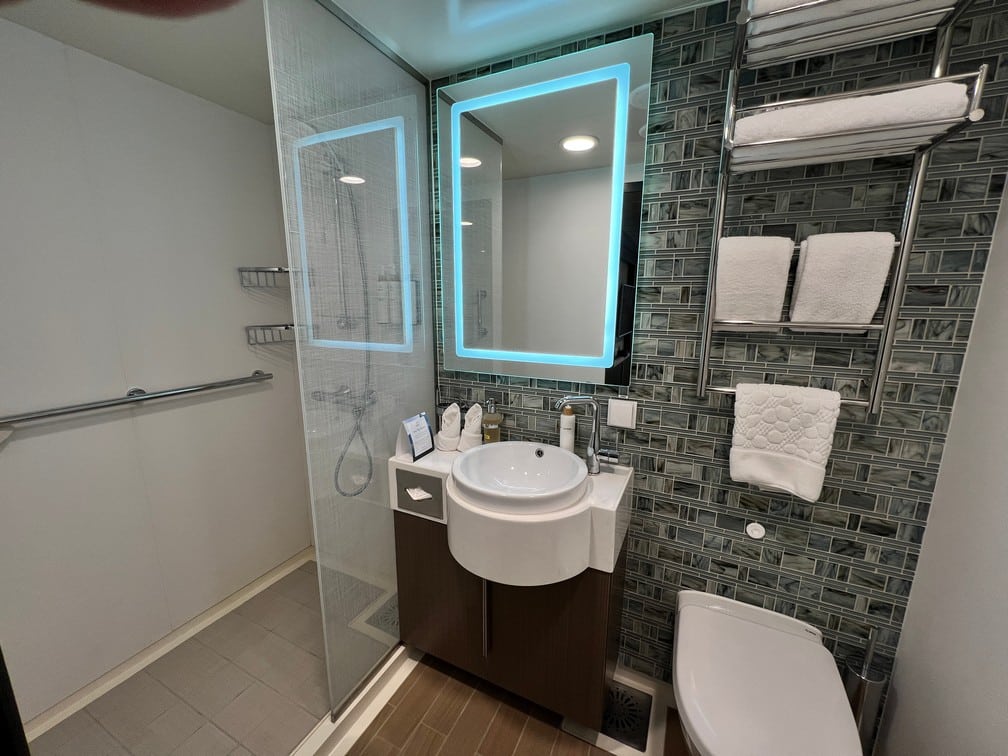 Sylvia Earle's Two Room Junior Suite bathroom
