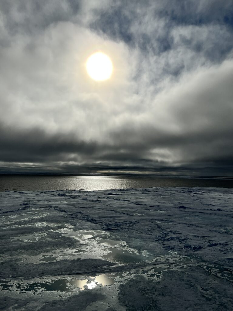 Aurora Expeditions arctic sea views - photo by Golding Travel
