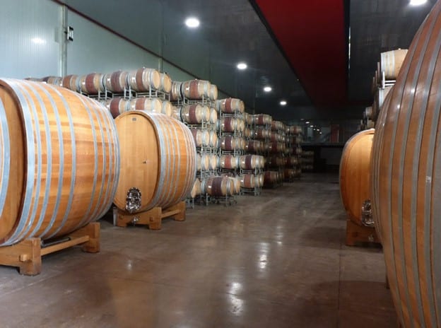 A Visit to a Chilean Winery on the Way to Santiago