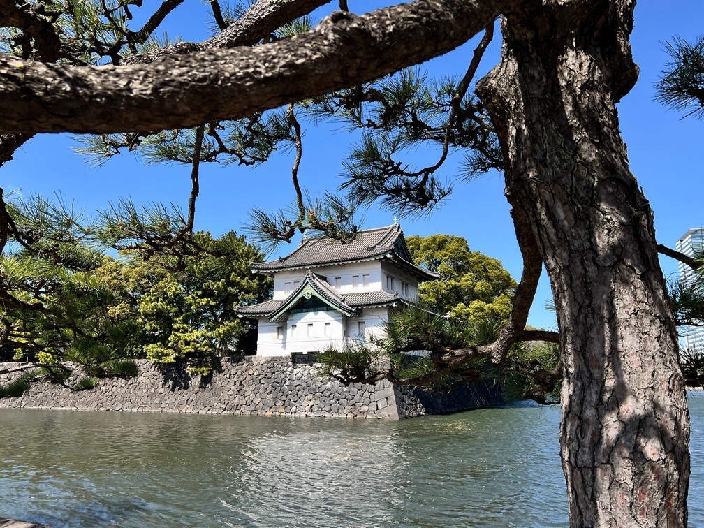 A view from one of the moats protecting the Imperial Palace. Tokyo, Japan