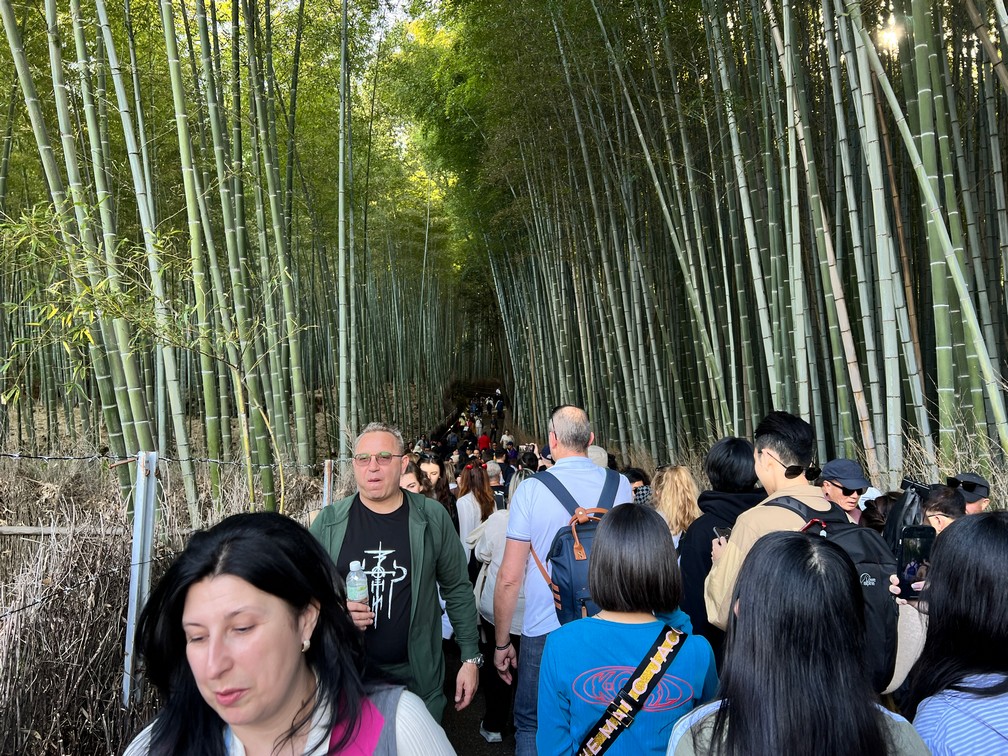 Arashiyama - Bamboo Forest: The SAD REALITY
