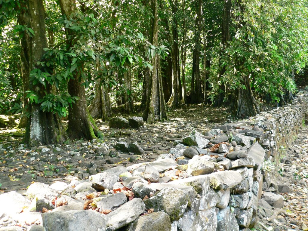 Ancient Polynesian Temple - Moorea