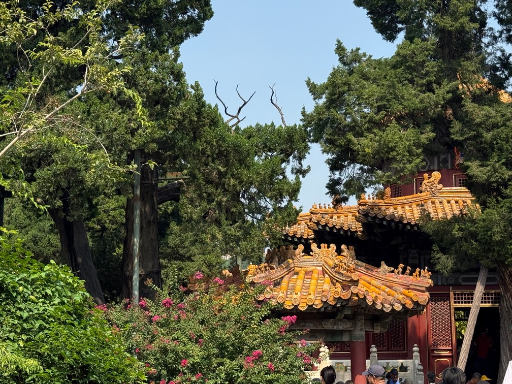 The Forbidden City