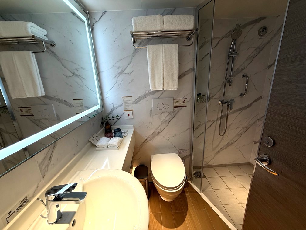 Century Voyage Category A Balcony Stateroom Bathroom