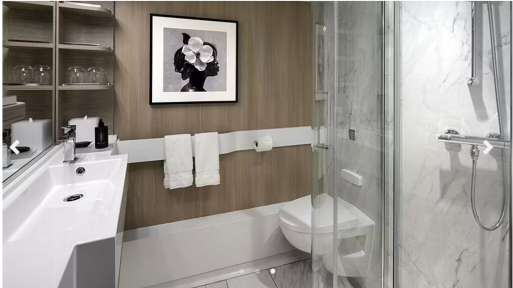 Celebrity Ascent Infinite Veranda Stateroom Bathroom