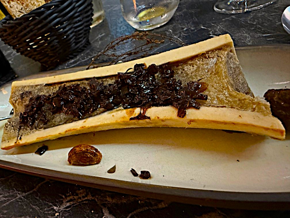 Bone Marrow