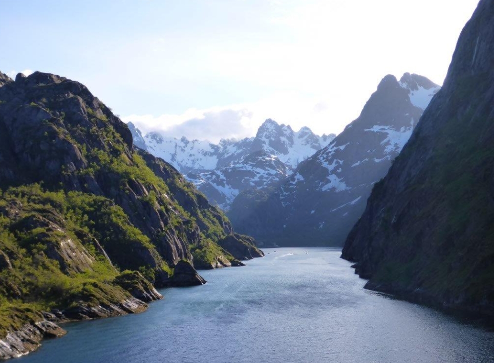 Norwegian Fjord